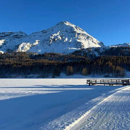 Lägenhet Cosy Mountain For 1 Or 2 Maloja